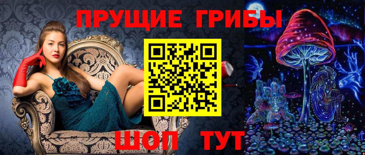 Галлюциногенные грибы Cubensis  Вход с VPN  Сердобск 